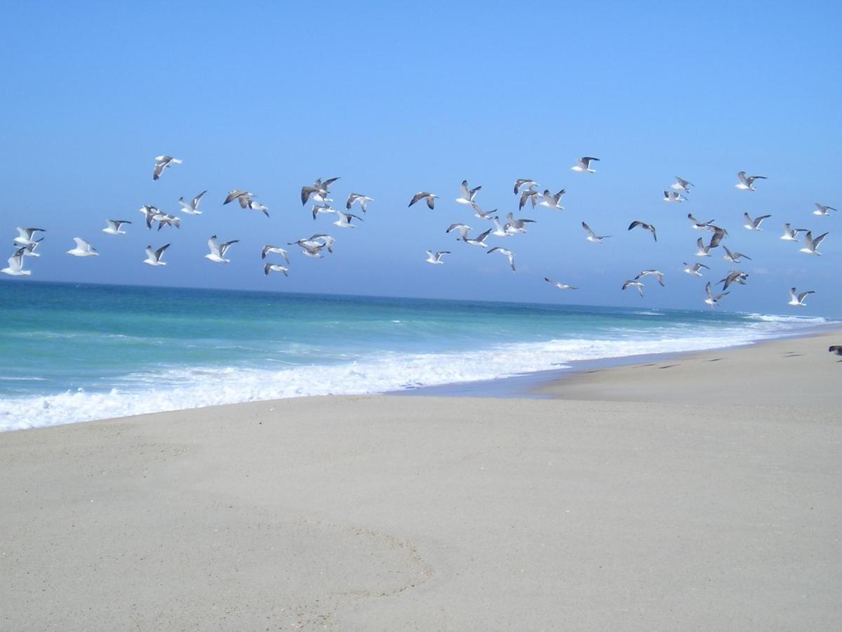 Torreira Vacation Homes - Sea House Екстер'єр фото